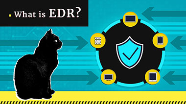 什么是终端检测与响应（Endpoint Detection and Response，EDR）？EDR定义 | Gridinsoft
