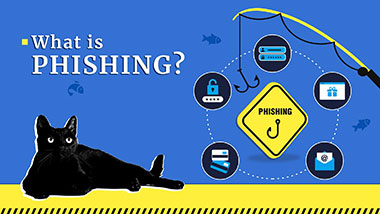 什么是网络钓鱼？攻击技巧和案例 | Gridinsoft 2023