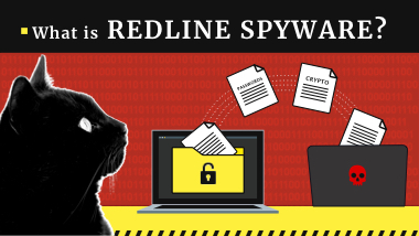 RedLine Stealer 恶意软件 | 研究报告 2024