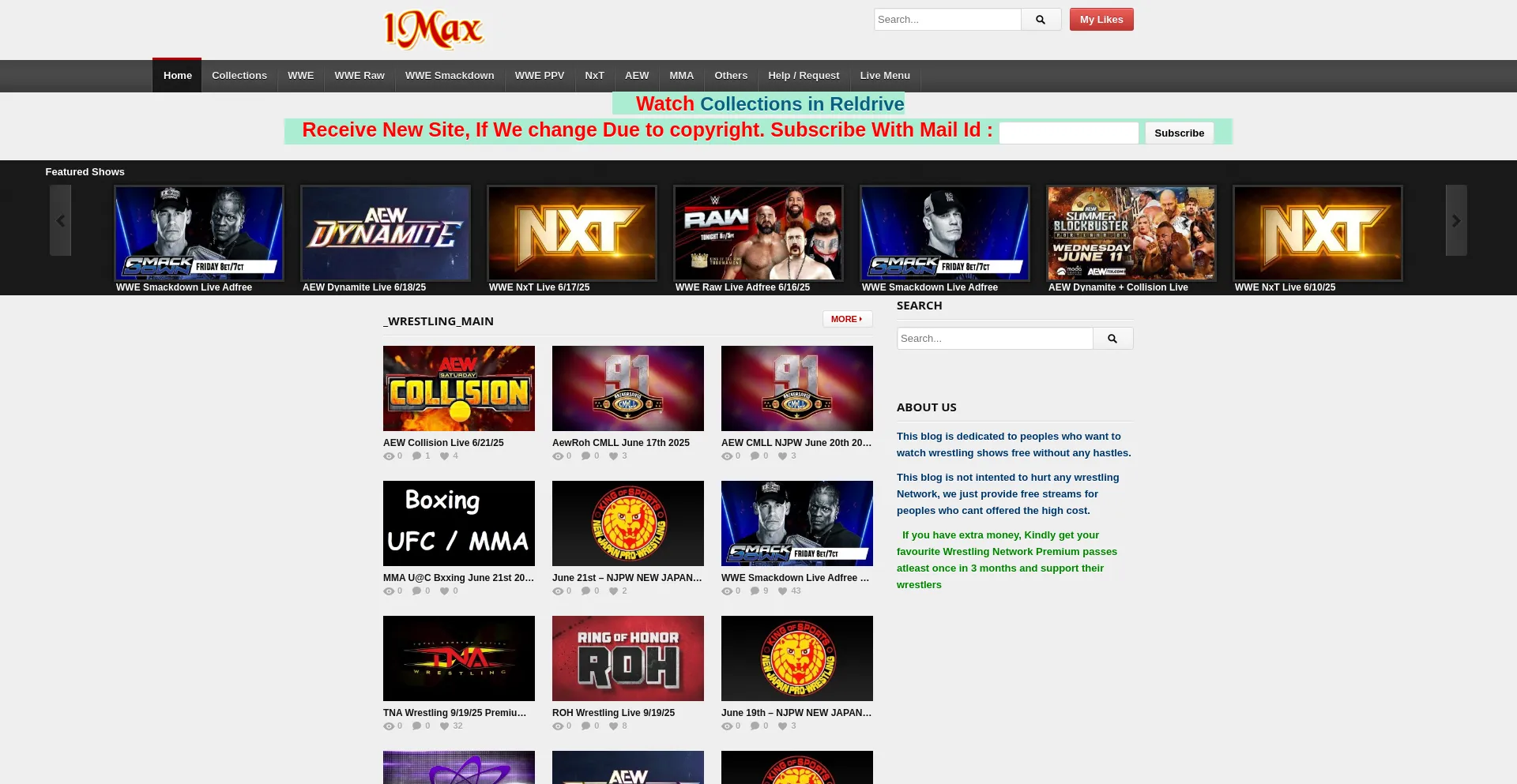 Website screenshot of 1max.top