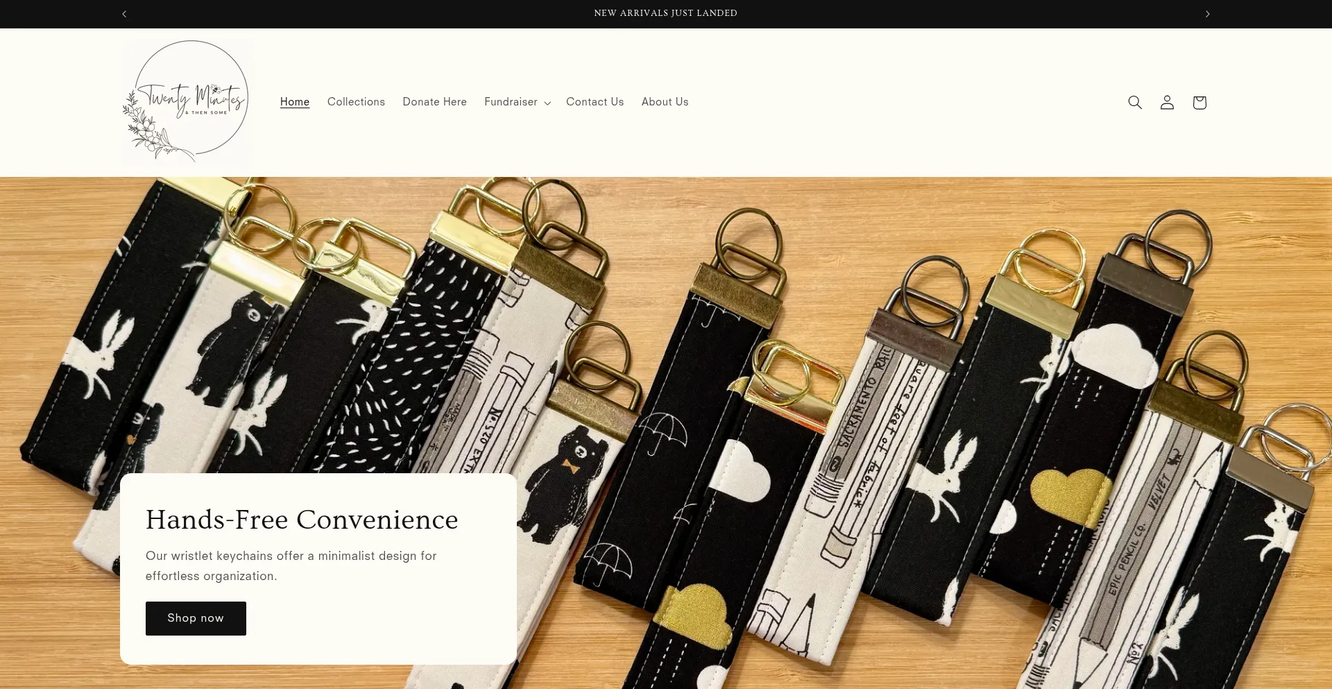 Website screenshot of 20minsandthensome.com