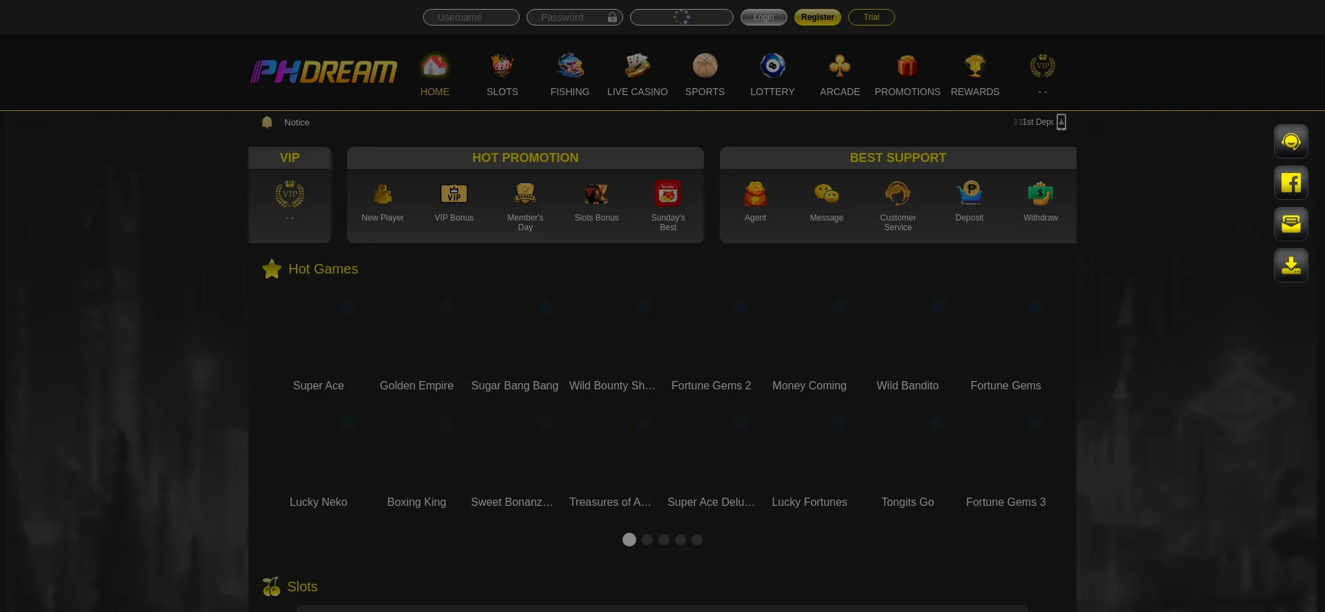 Website screenshot of 22phdream.com