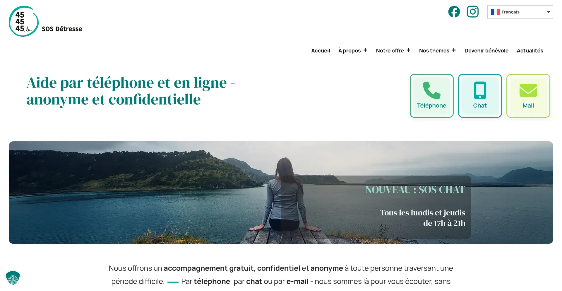 Website screenshot of 454545.lu