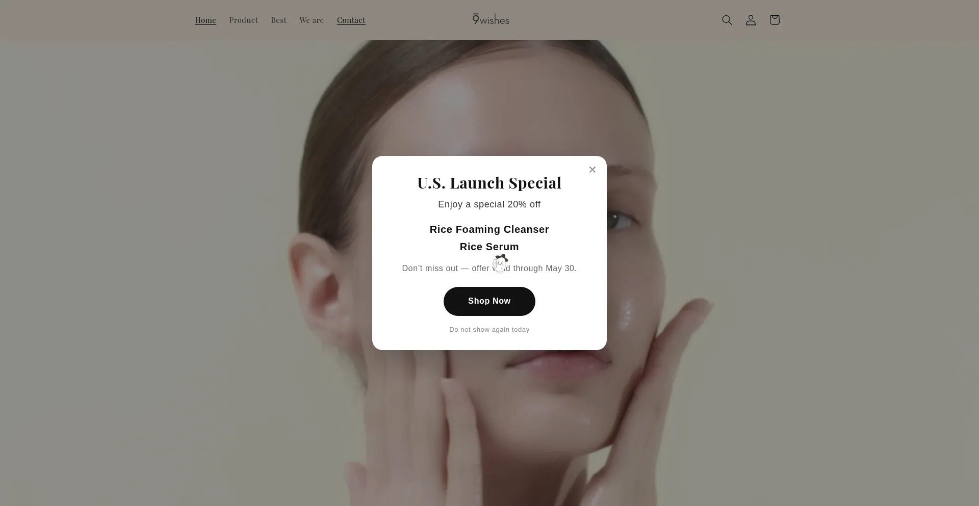 9wishesglobal.com