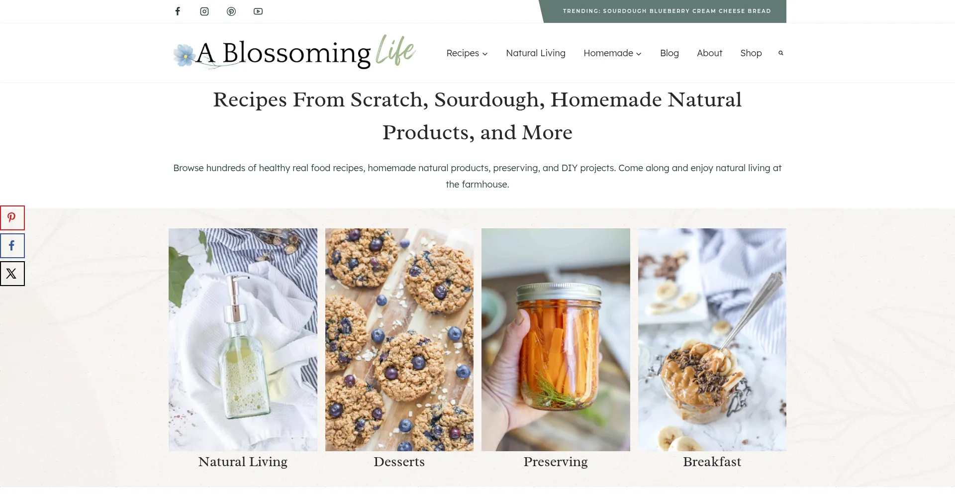 Ablossominglife.com Screenshot