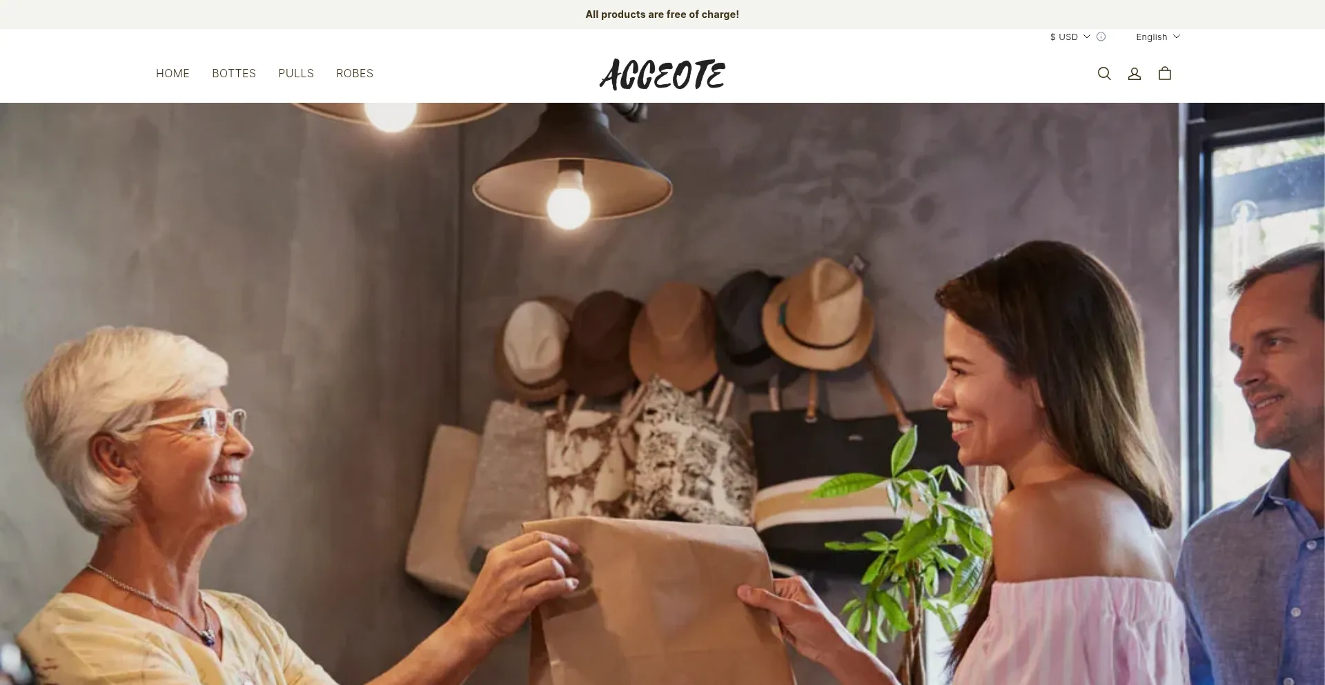 Website screenshot of Acceote.com