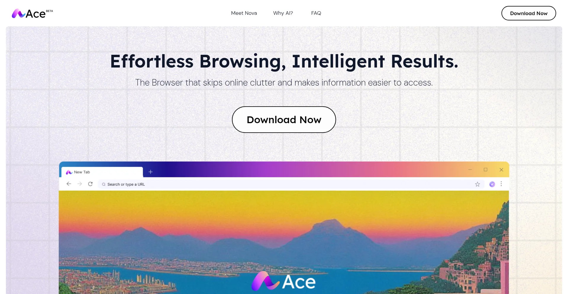 Acebrowser.ai 安全可靠吗？
