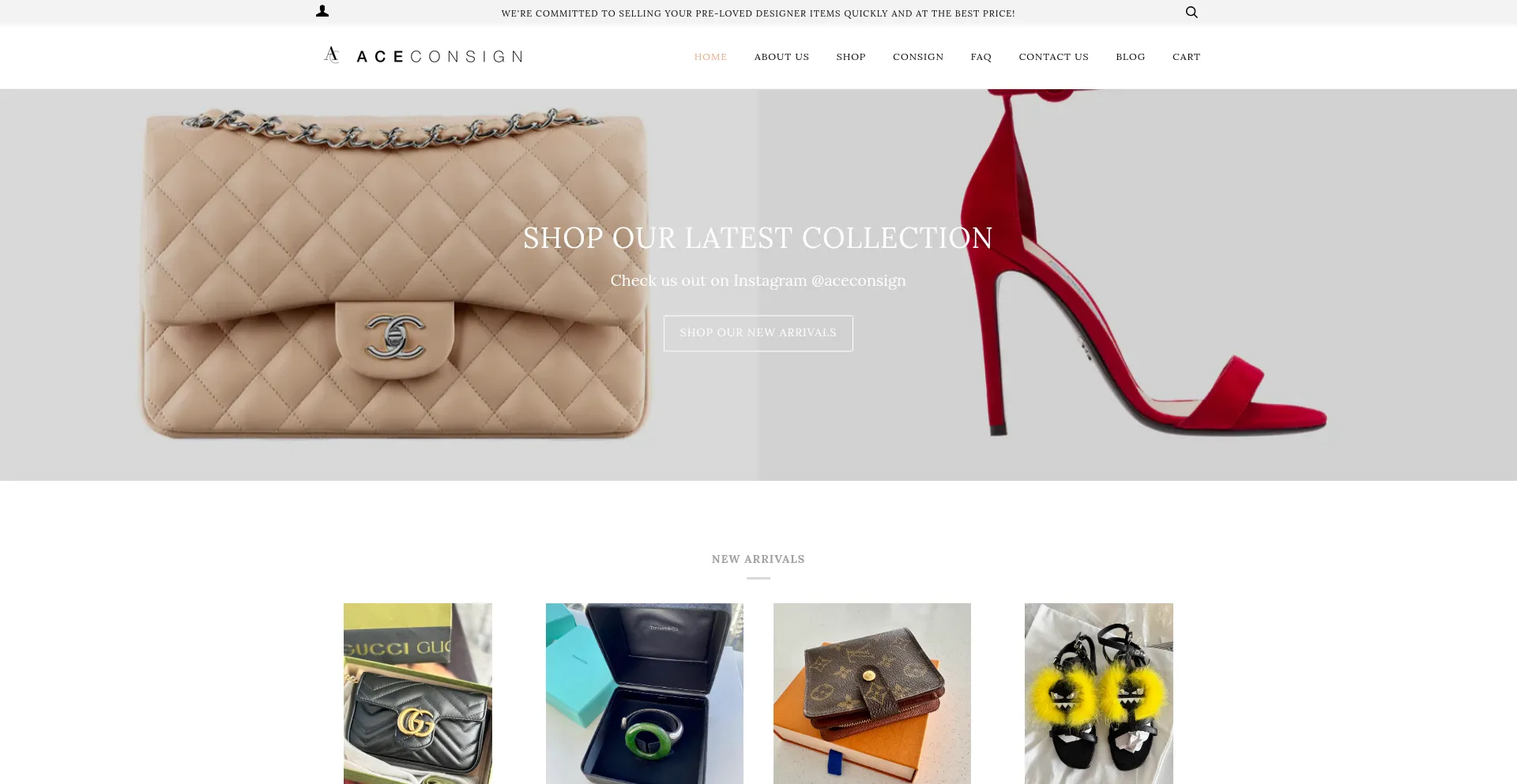 Website screenshot of Aceconsign.com
