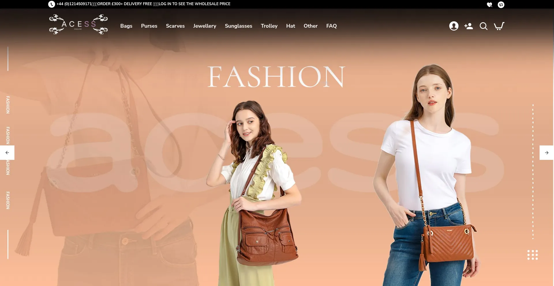 Website screenshot of Acess.co.uk