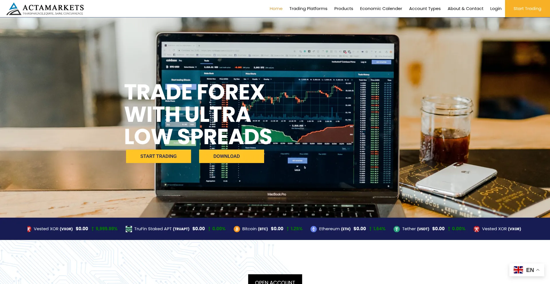 Website screenshot of Actamarkets.com