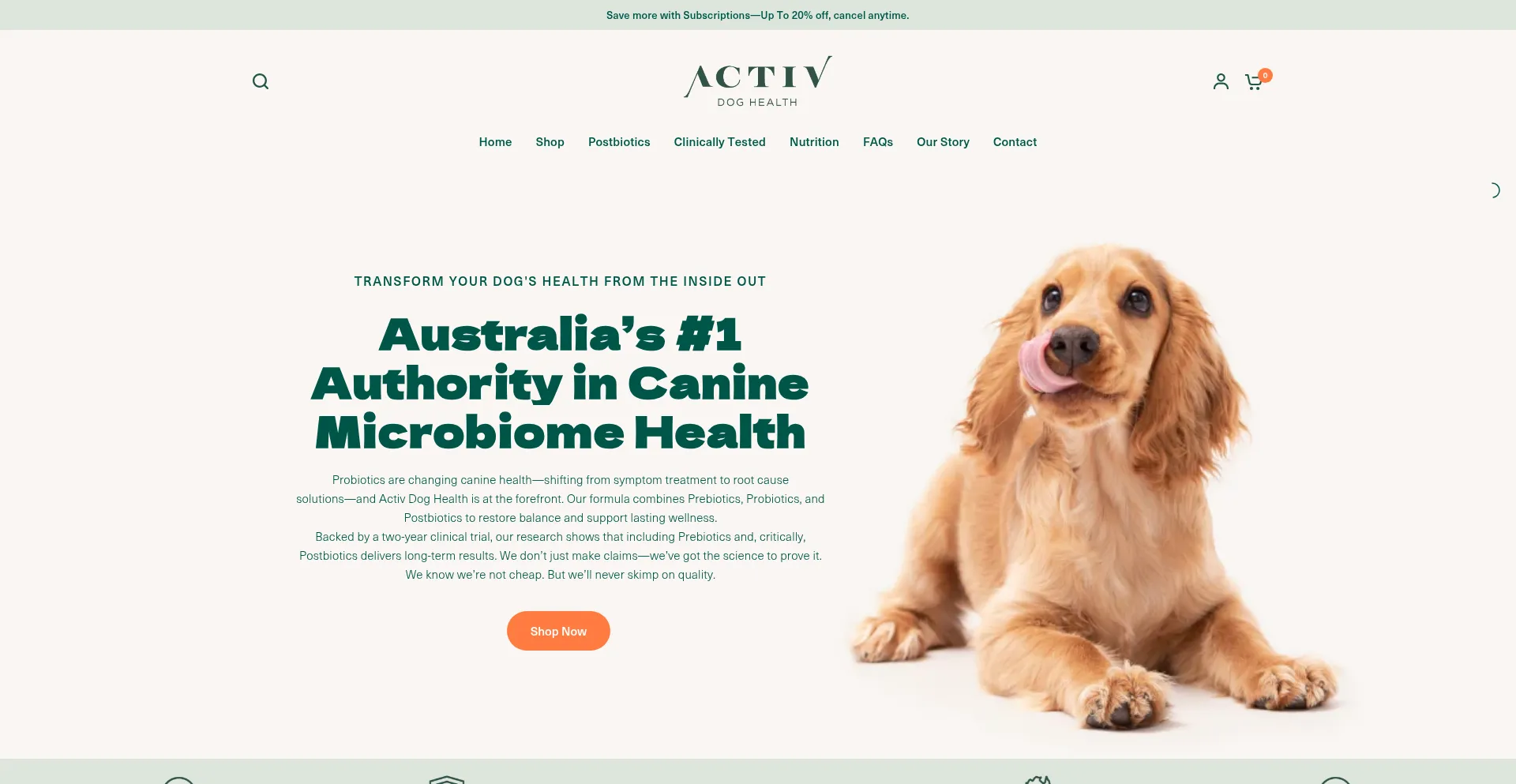 Website screenshot of Activdog.com
