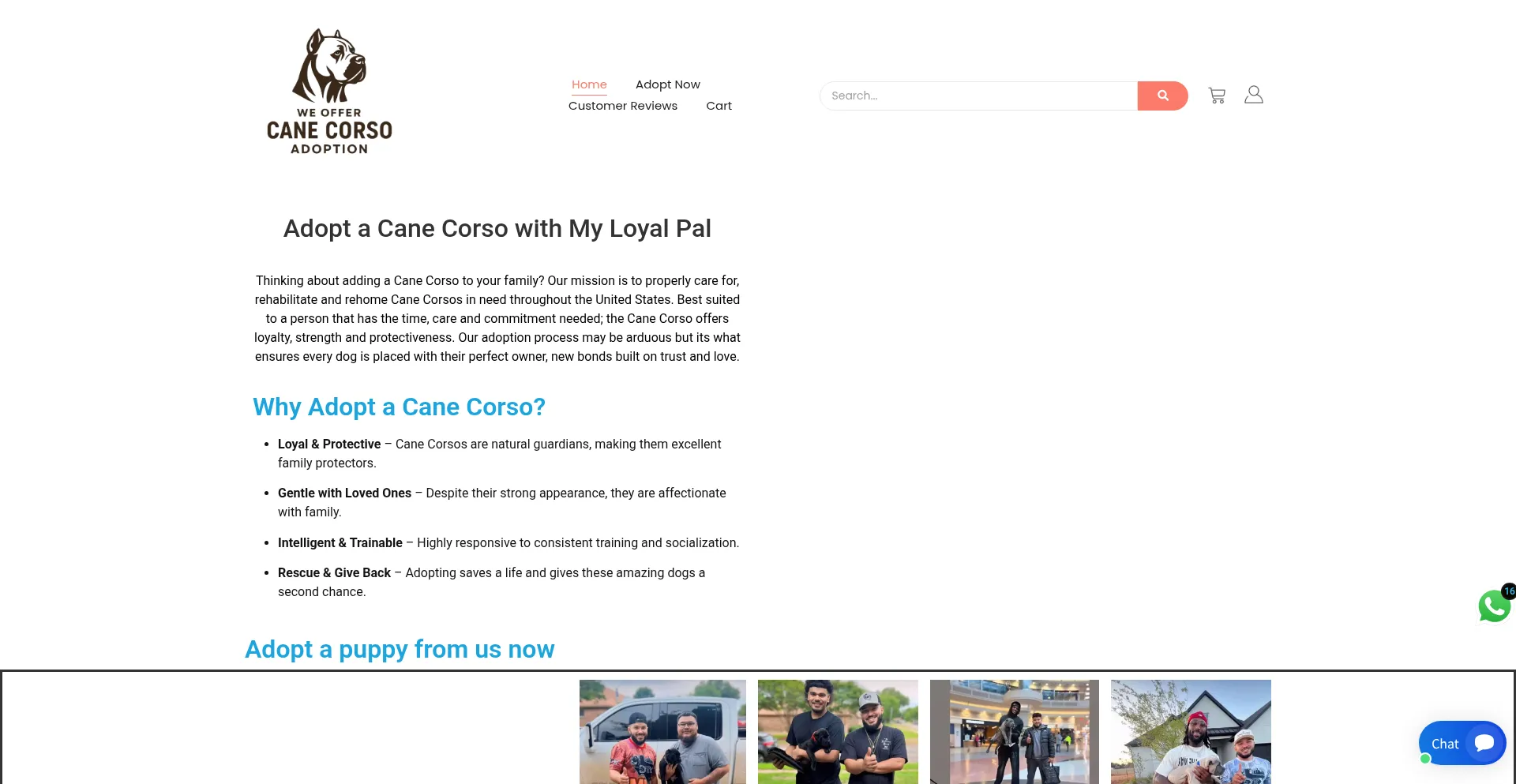 Adoptcanecorso.com