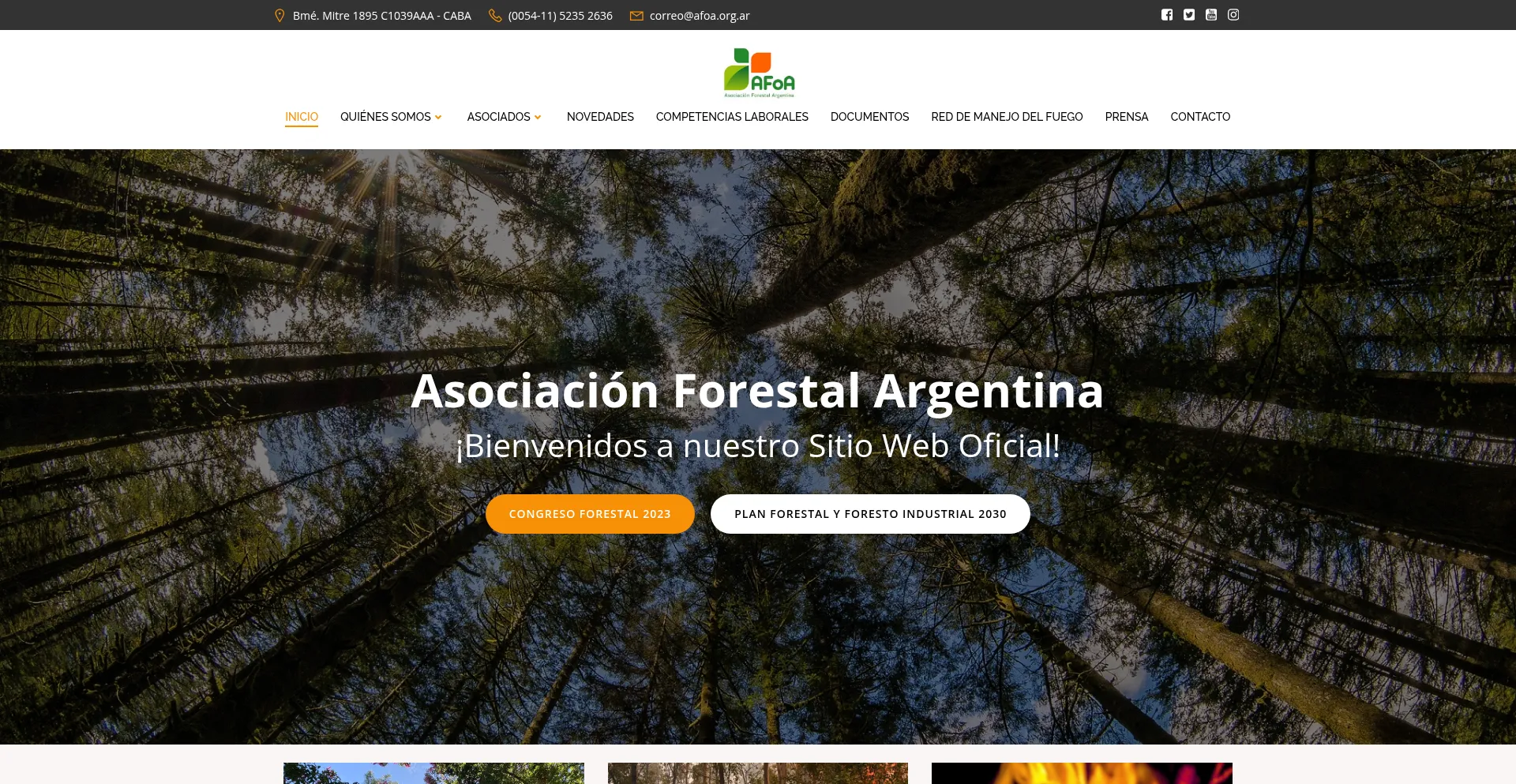 Afoa.org.ar 安全可靠吗？