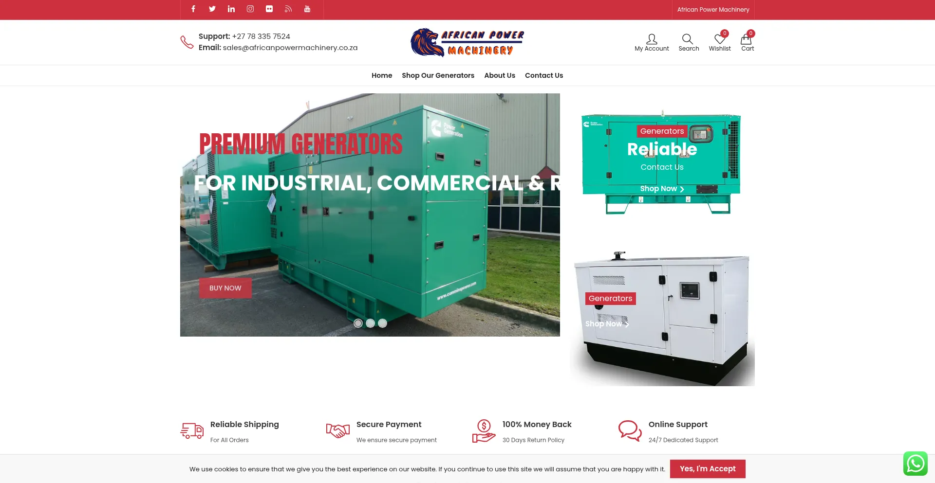 Website screenshot of Africanpowermachinery.co.za
