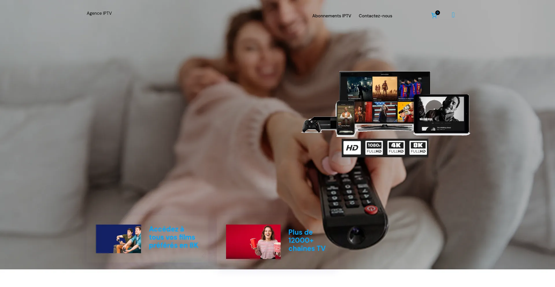Website screenshot of Agenceiptv.fr
