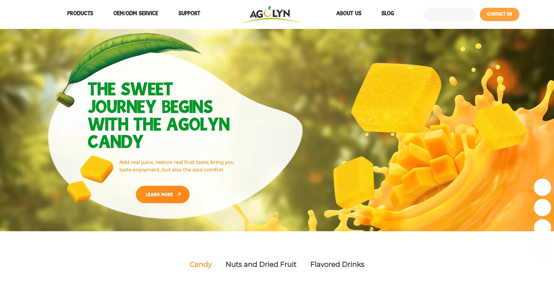 Website screenshot of Agolyn.com