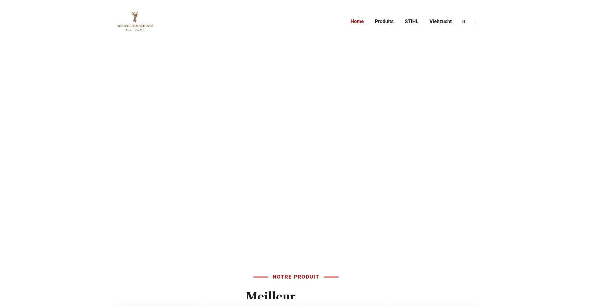 Website screenshot of Agricolesmachines.com