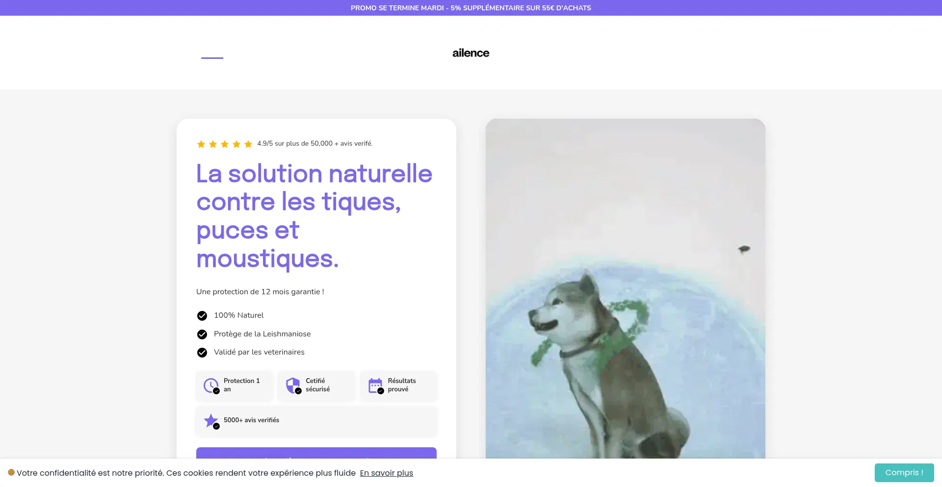 Ailence.fr