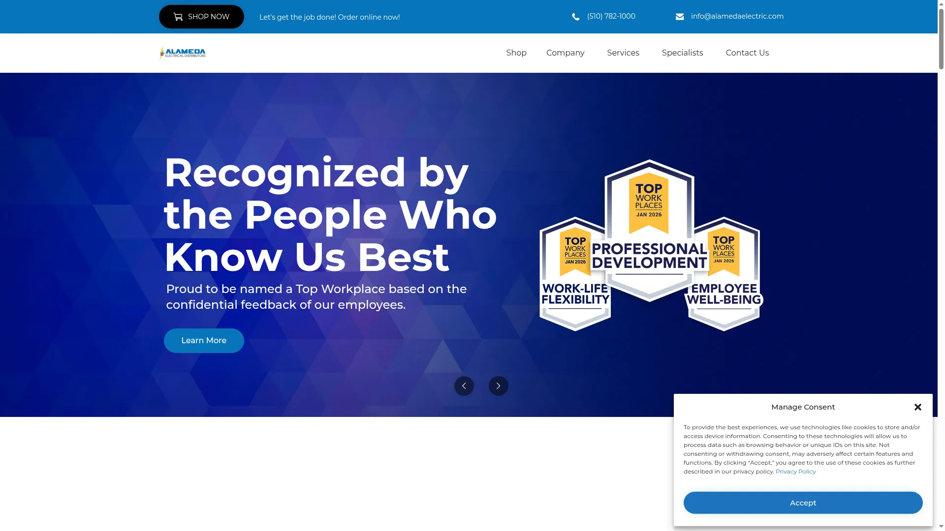 Alamedaelectric.com