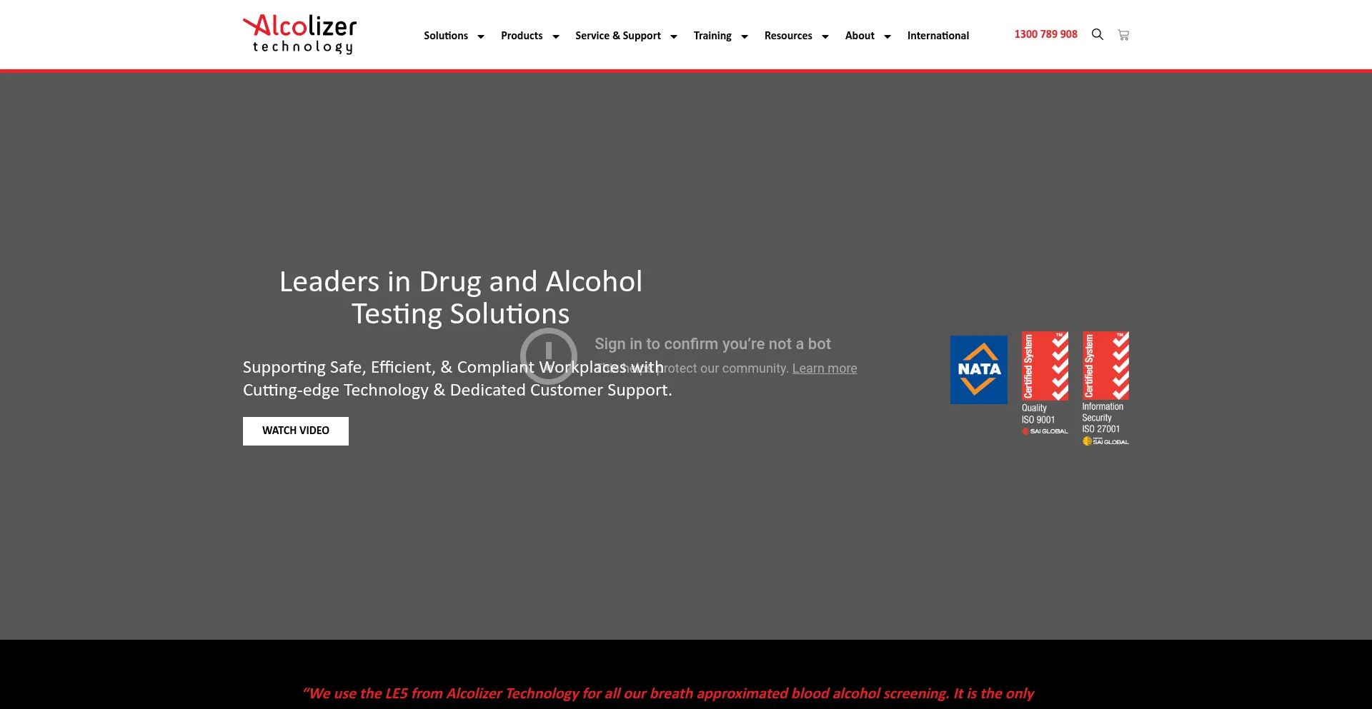 Website screenshot of Alcolizer.com