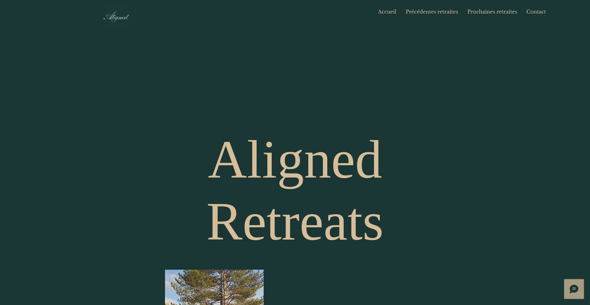Aligned-retreats.fr Screenshot