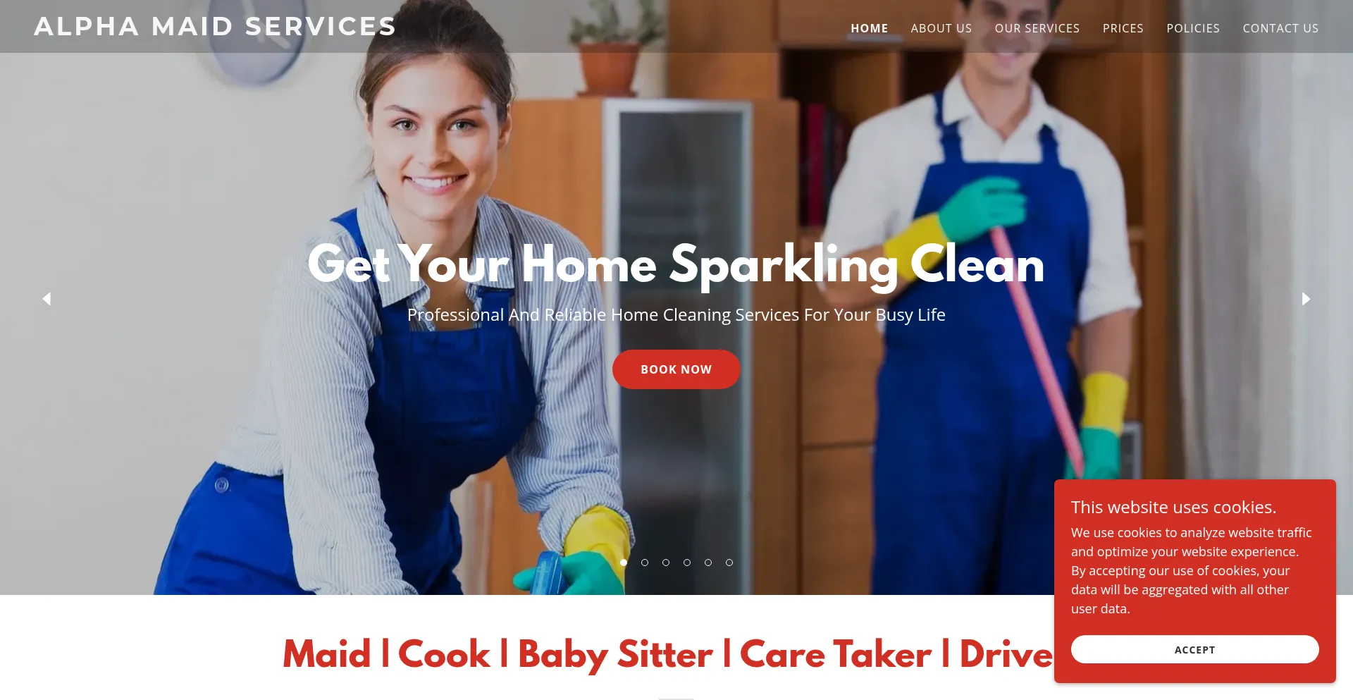 Website screenshot of Alphamaidservices.in
