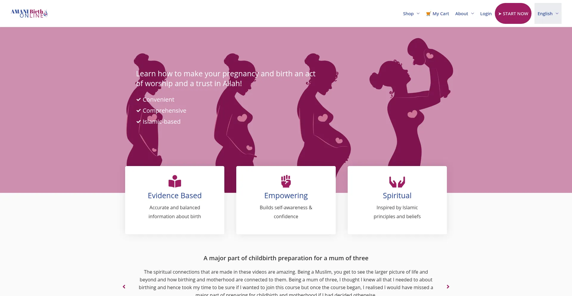 Amanibirth.online