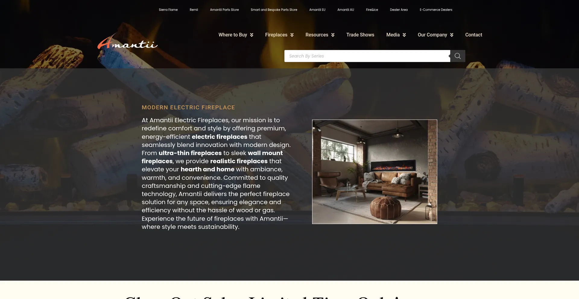 Website screenshot of Amantii.com