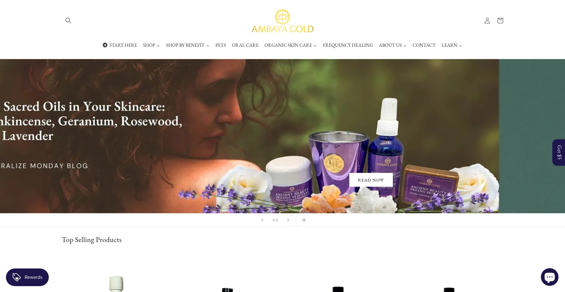 Website screenshot of Ambayagold.com