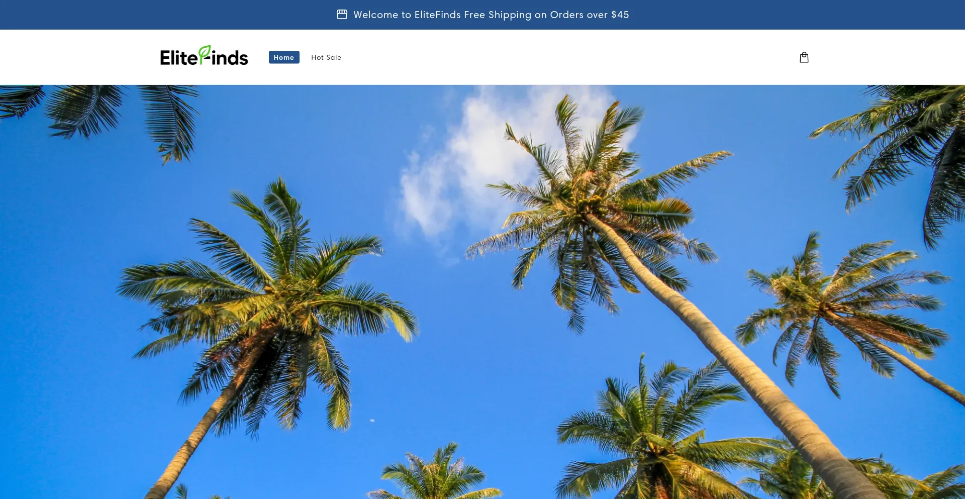 Website screenshot of Amerielitefinds.com