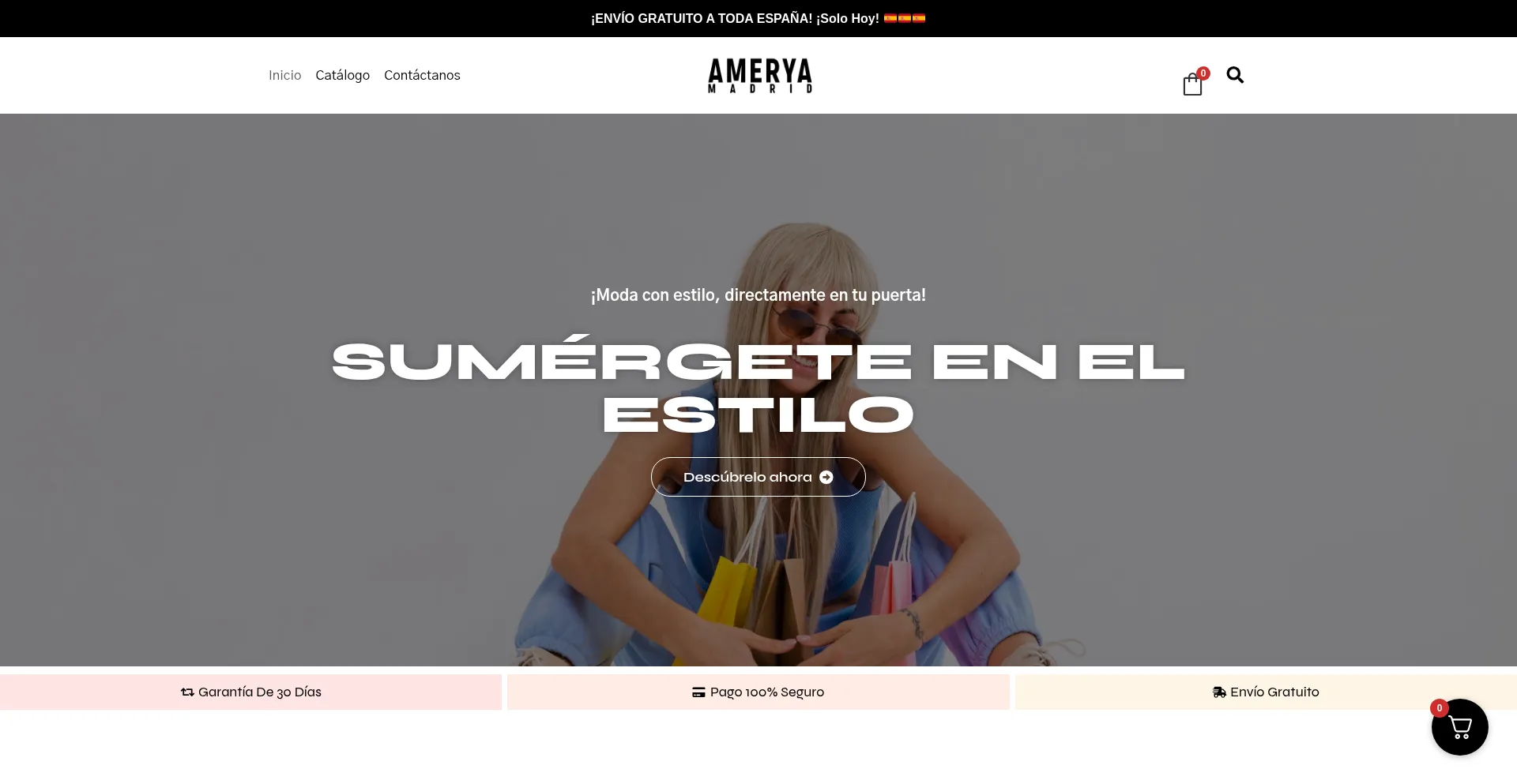Website screenshot of Amerya.com