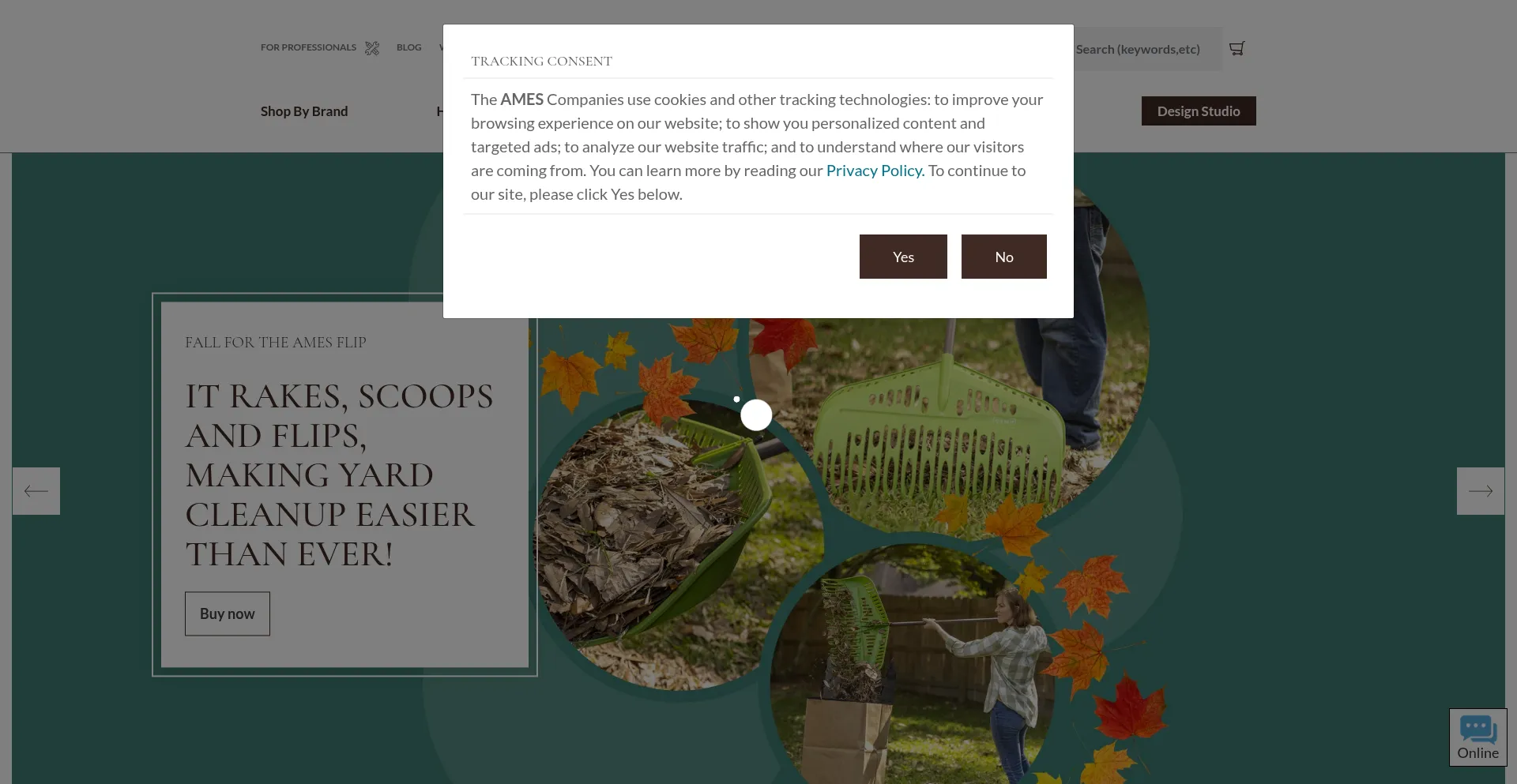 Ames.com Screenshot