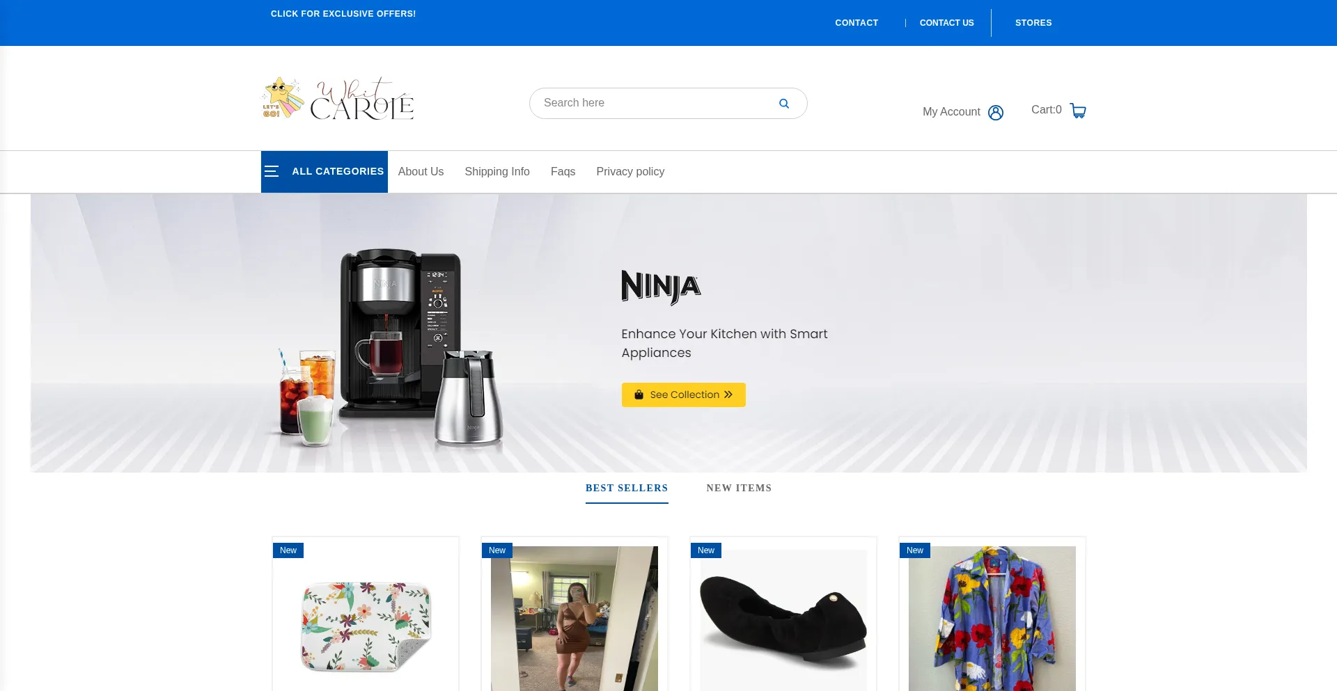 Website screenshot of Amfish.airsmooth.rent
