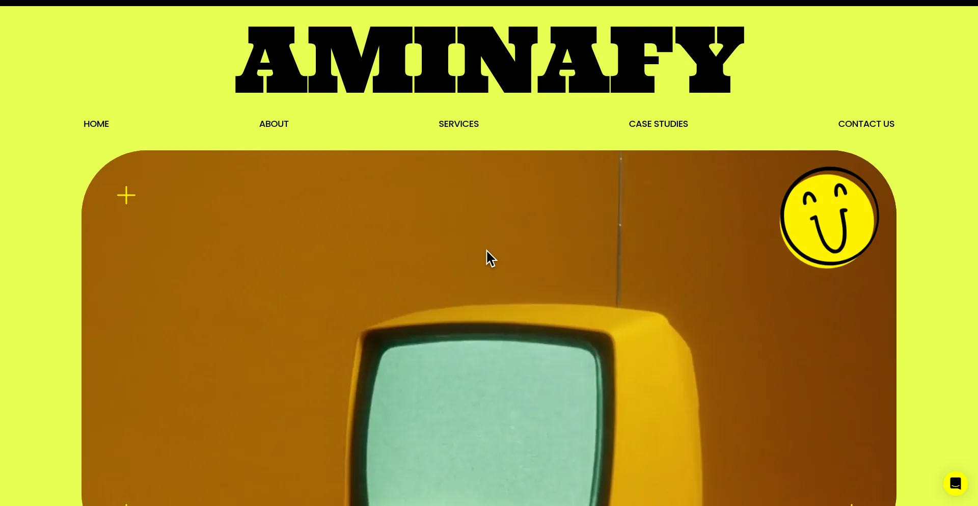 Website screenshot of Aminafy.co
