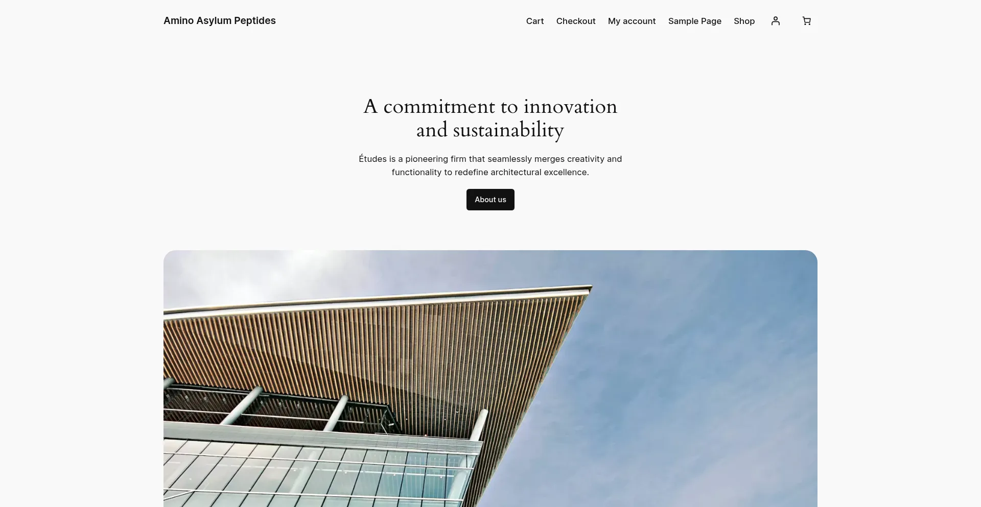 Aminoasylumpeps.com