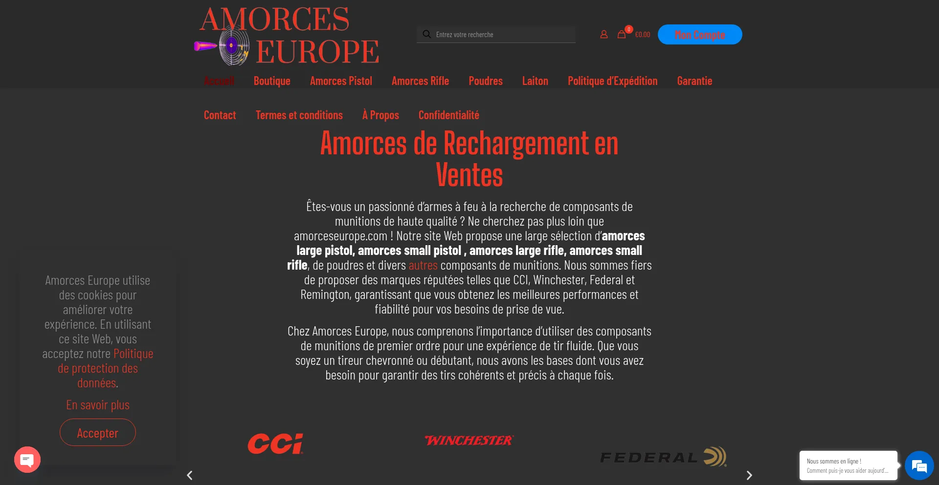 Website screenshot of Amorceseurope.com