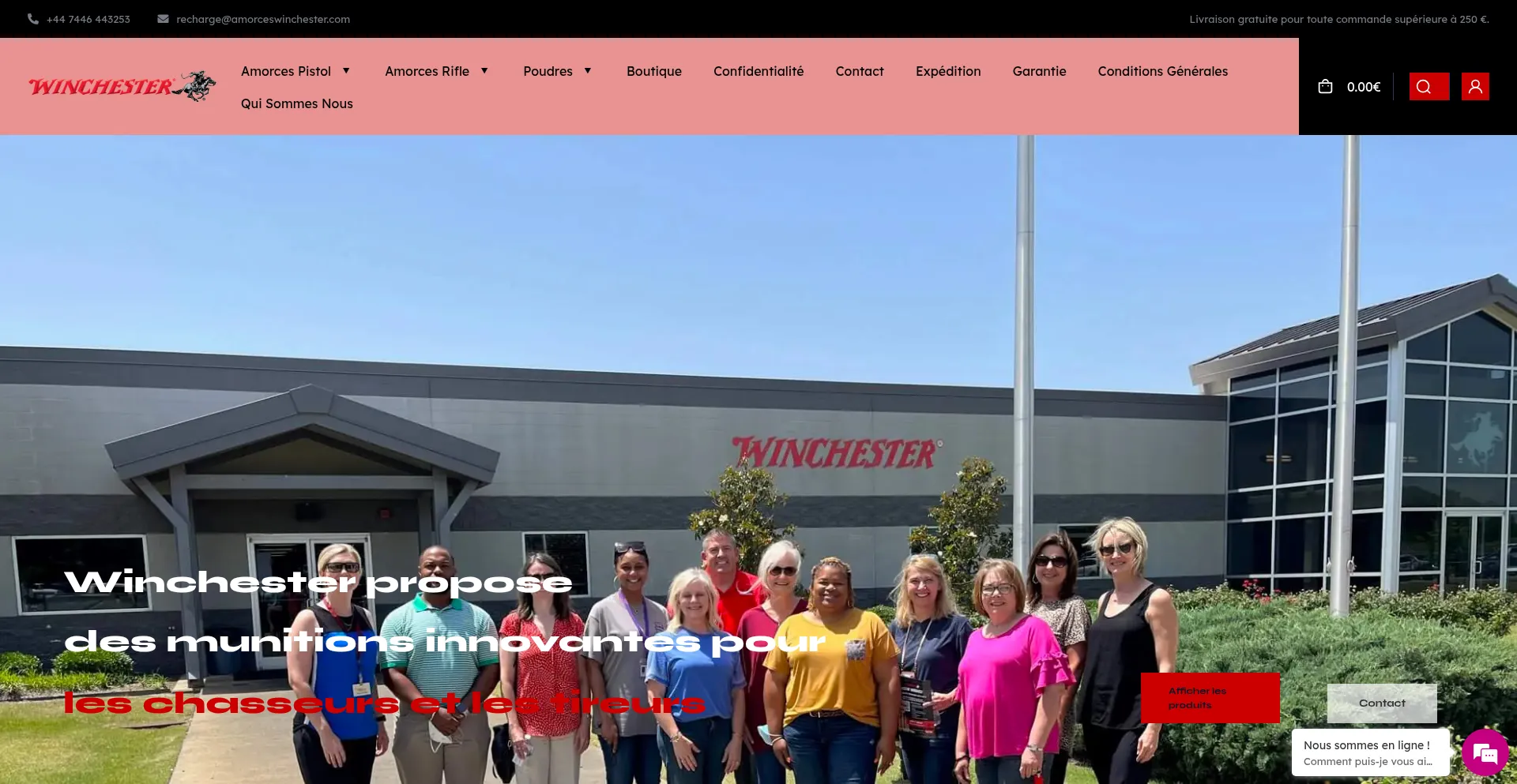 Website screenshot of Amorceswinchester.com
