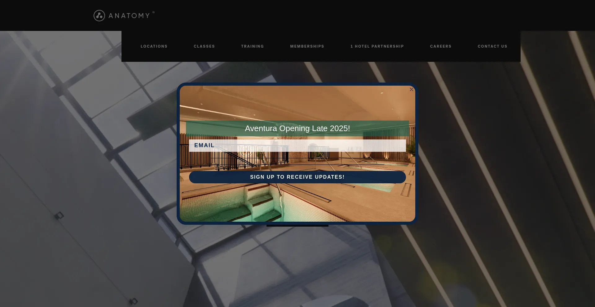 Website screenshot of Anatomyfitness.com