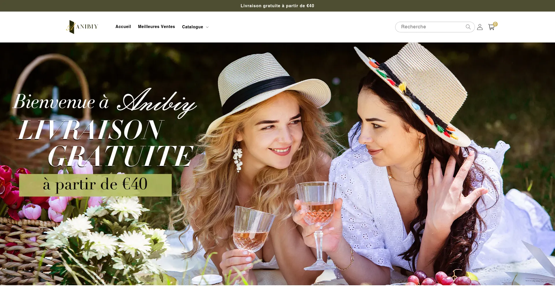 Website screenshot of Anibiy.com