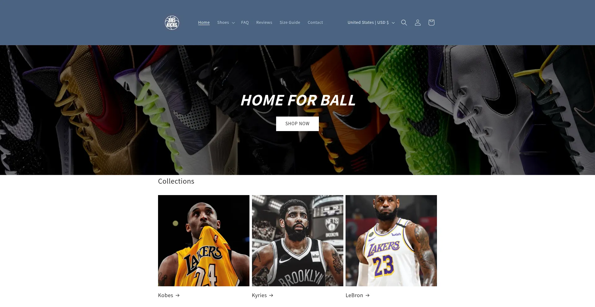 Website screenshot of Anskicks.com