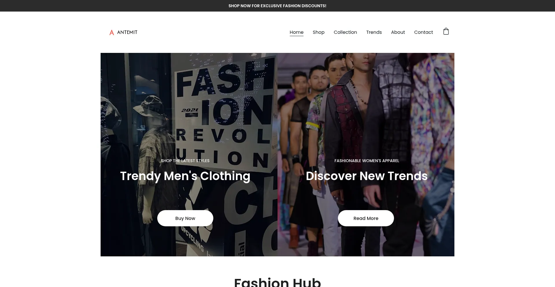 Website screenshot of Antemit.com