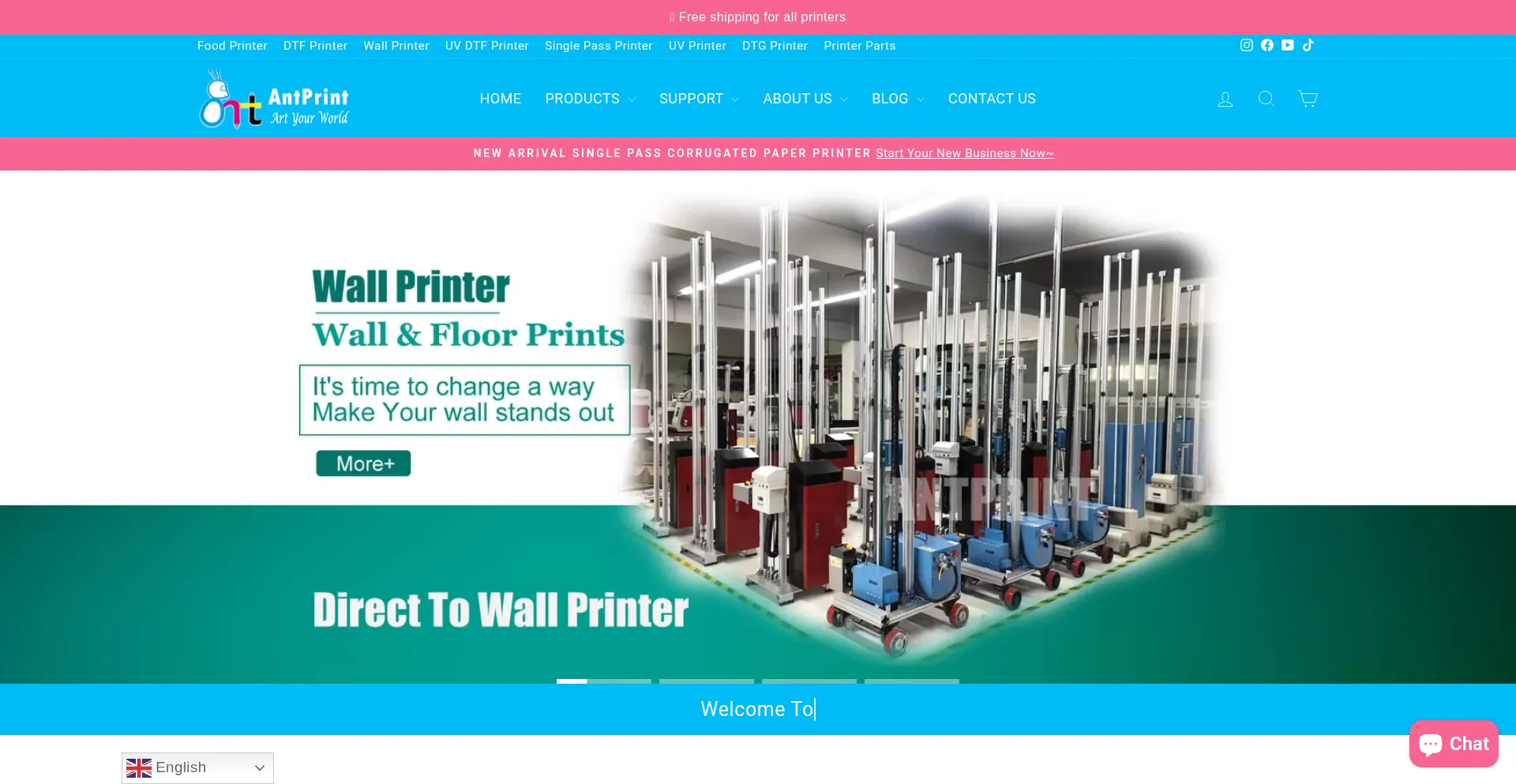 Website screenshot of Antprintmall.com