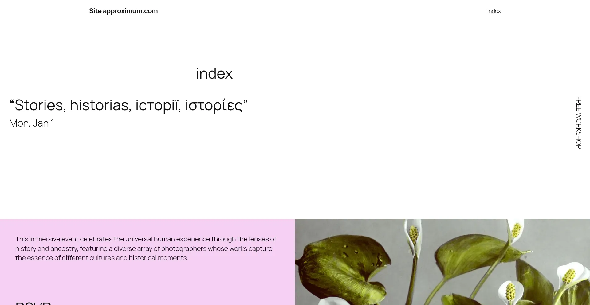 Website screenshot of Approximum.com