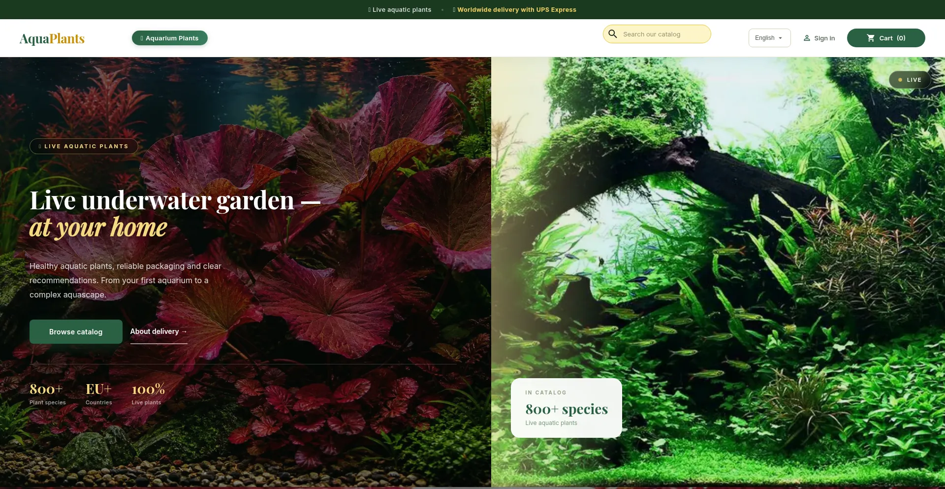 Aquaplants.biz