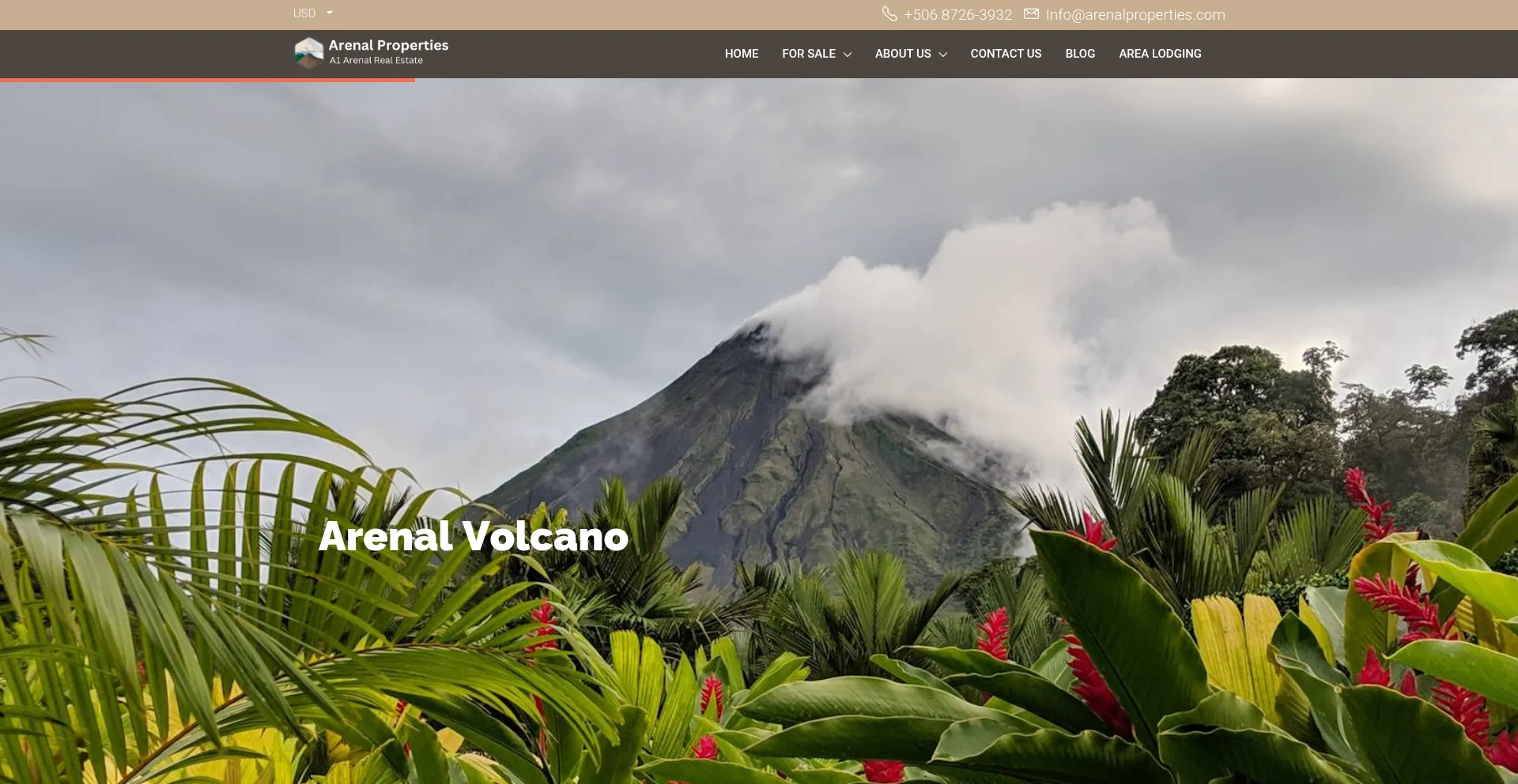Arenalproperties.com