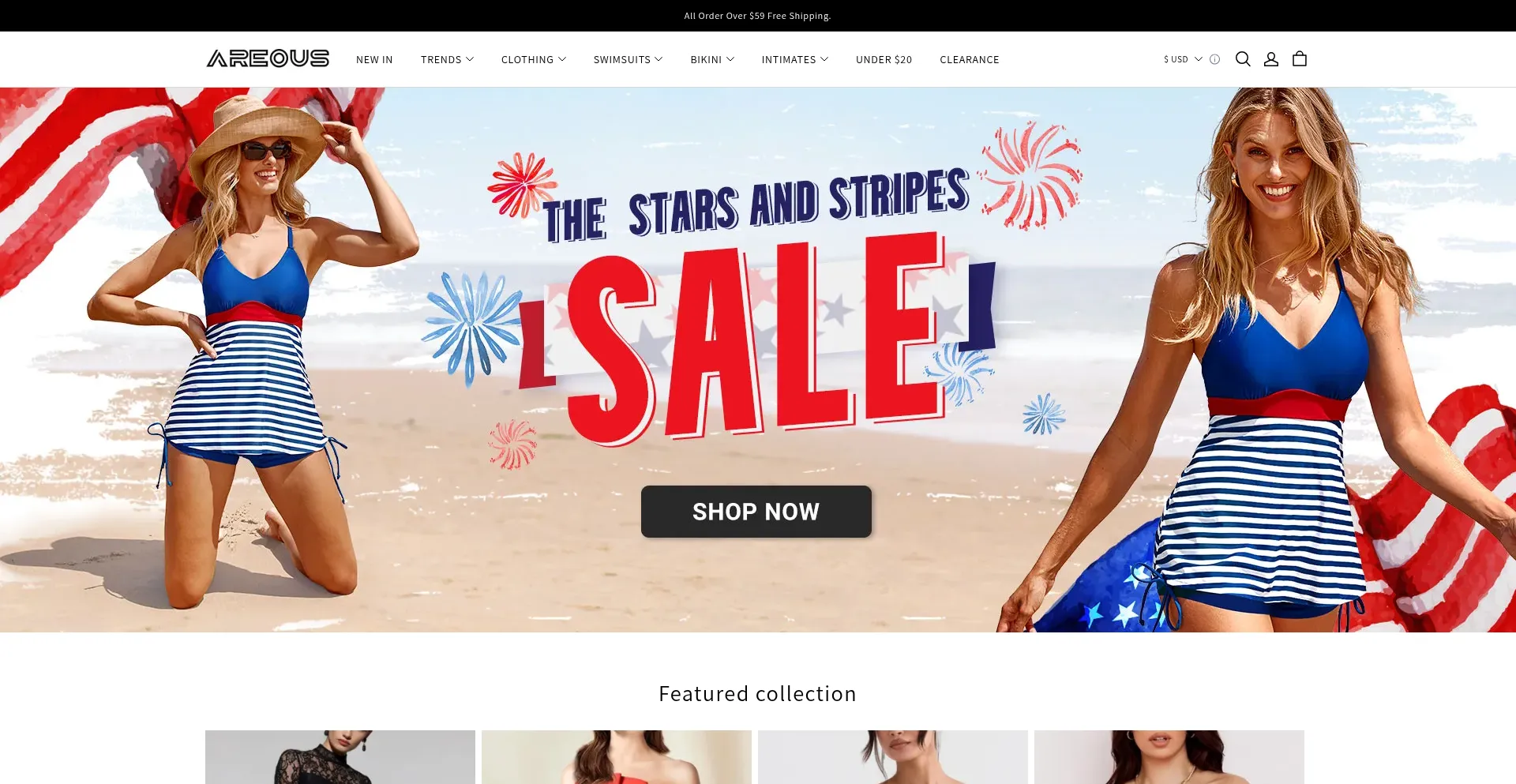 Website screenshot of Areous.com