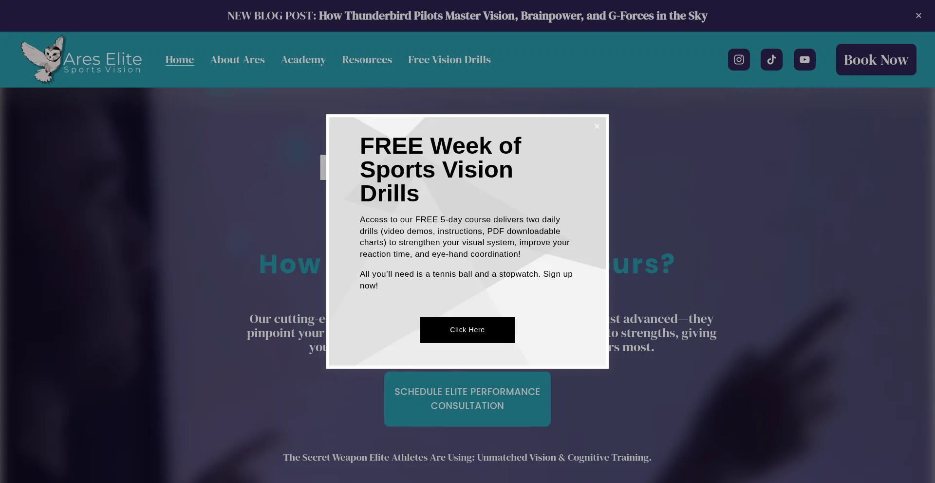 Website screenshot of Areselitesportsvision.com