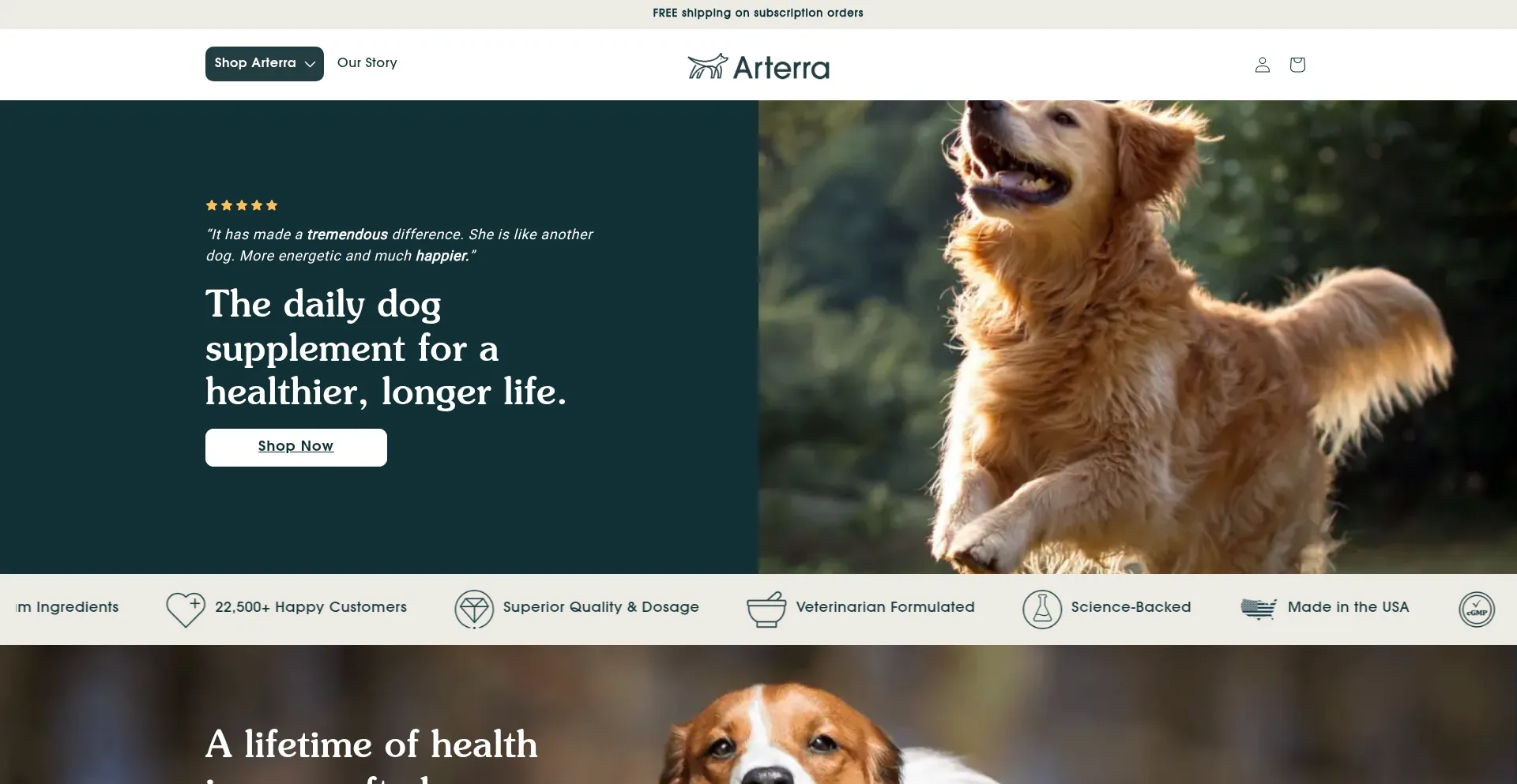 Arterrapet.com 安全可靠吗？