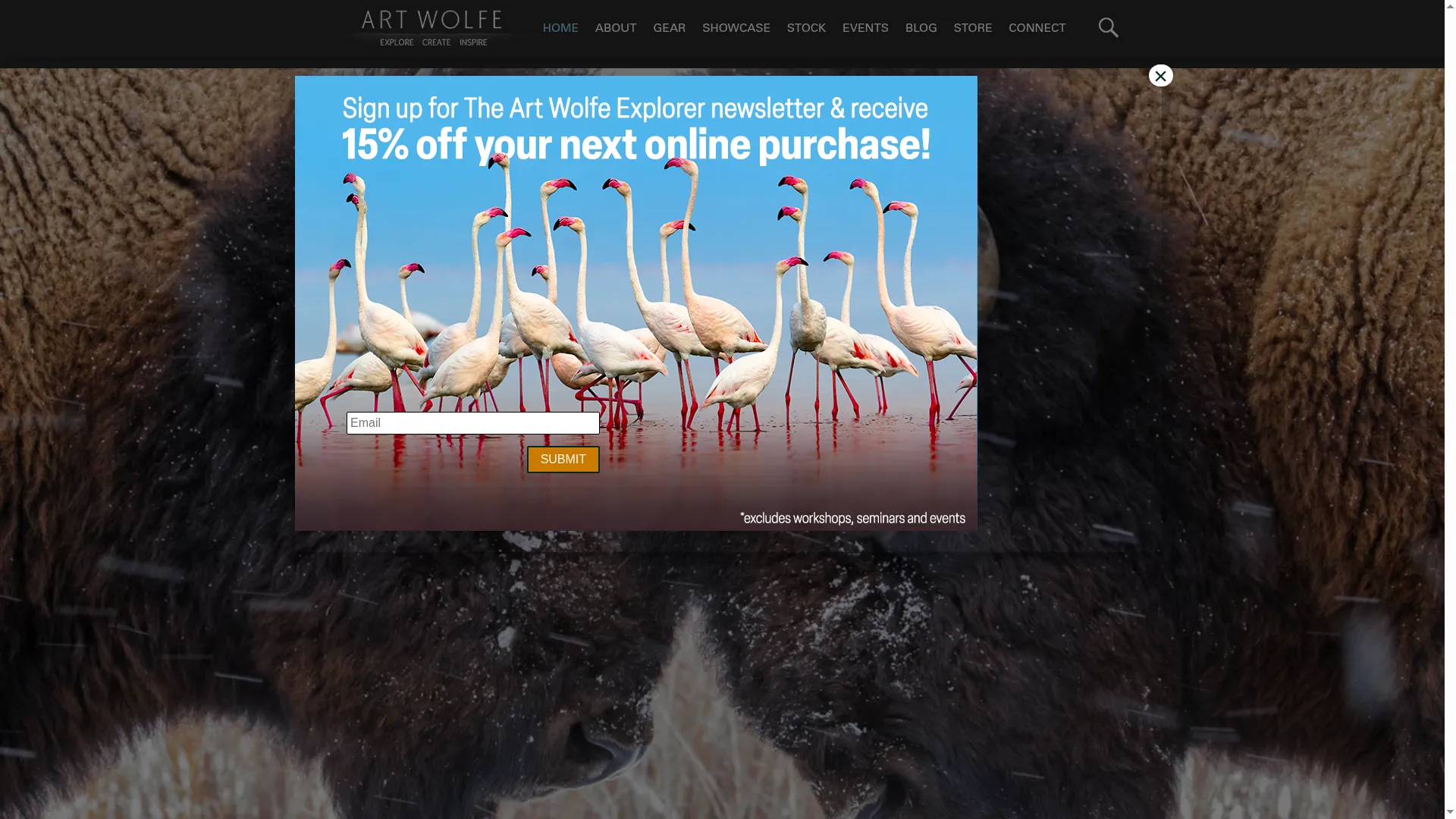 Artwolfe.com