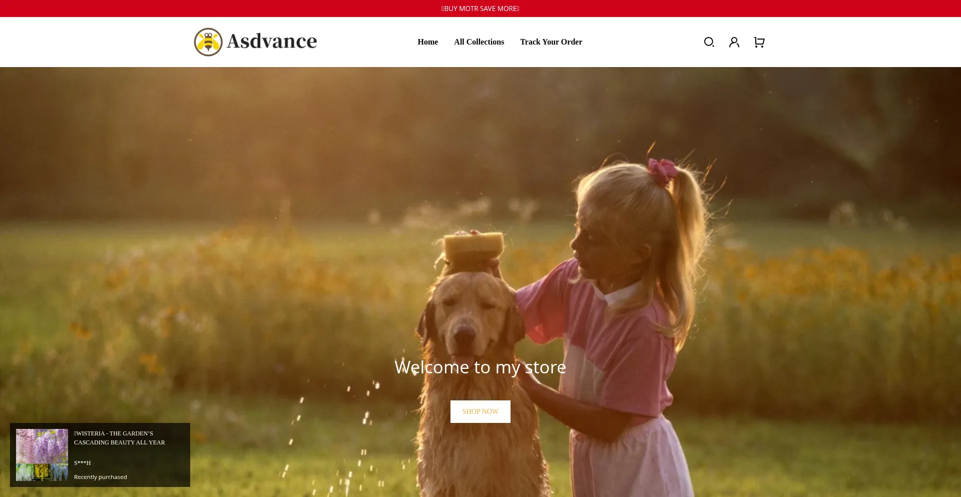 Asdvance.com 安全可靠吗？
